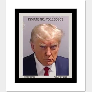 Trump Mugshot Inmate Number Posters and Art